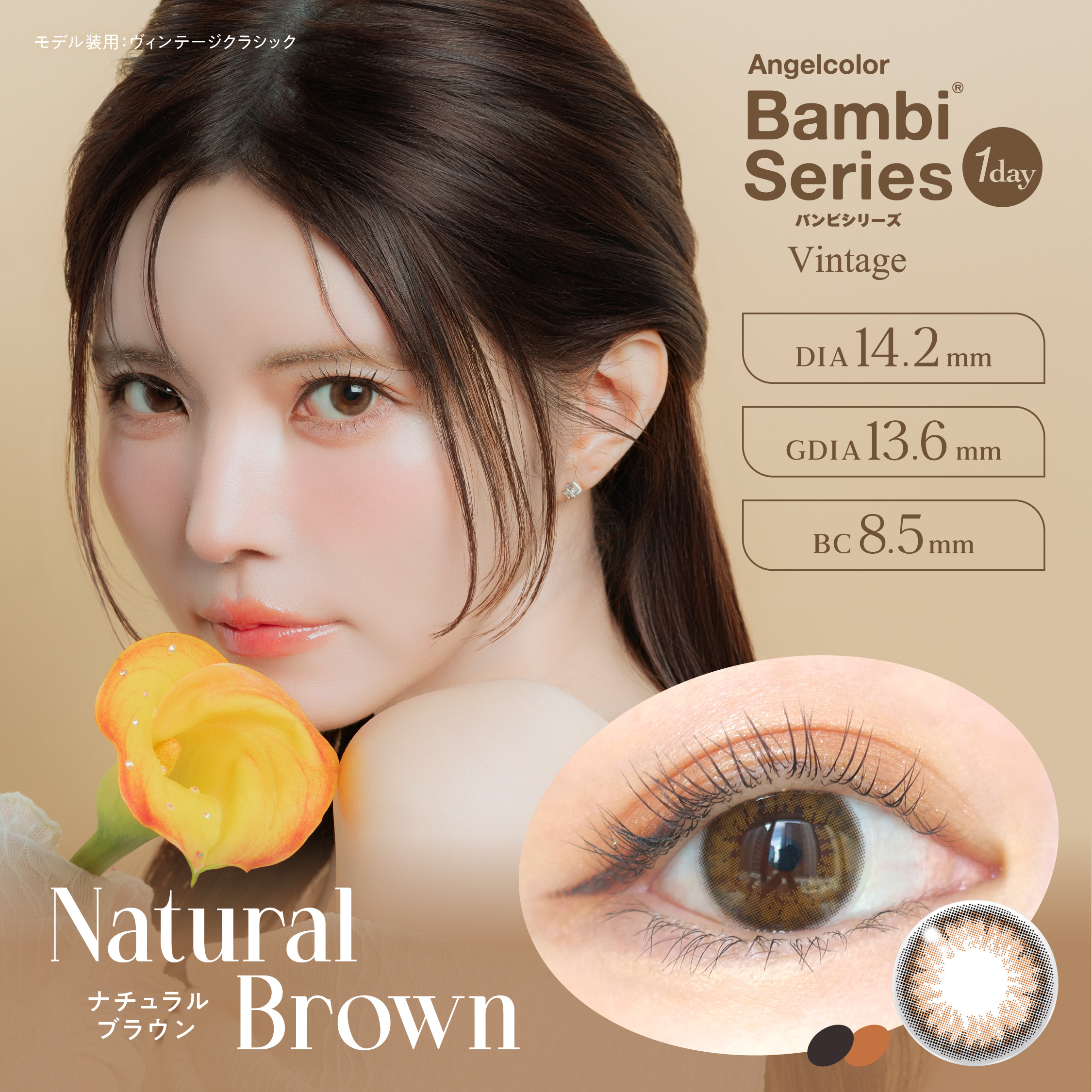 Natural BROWN（ナチュラルブラウン）