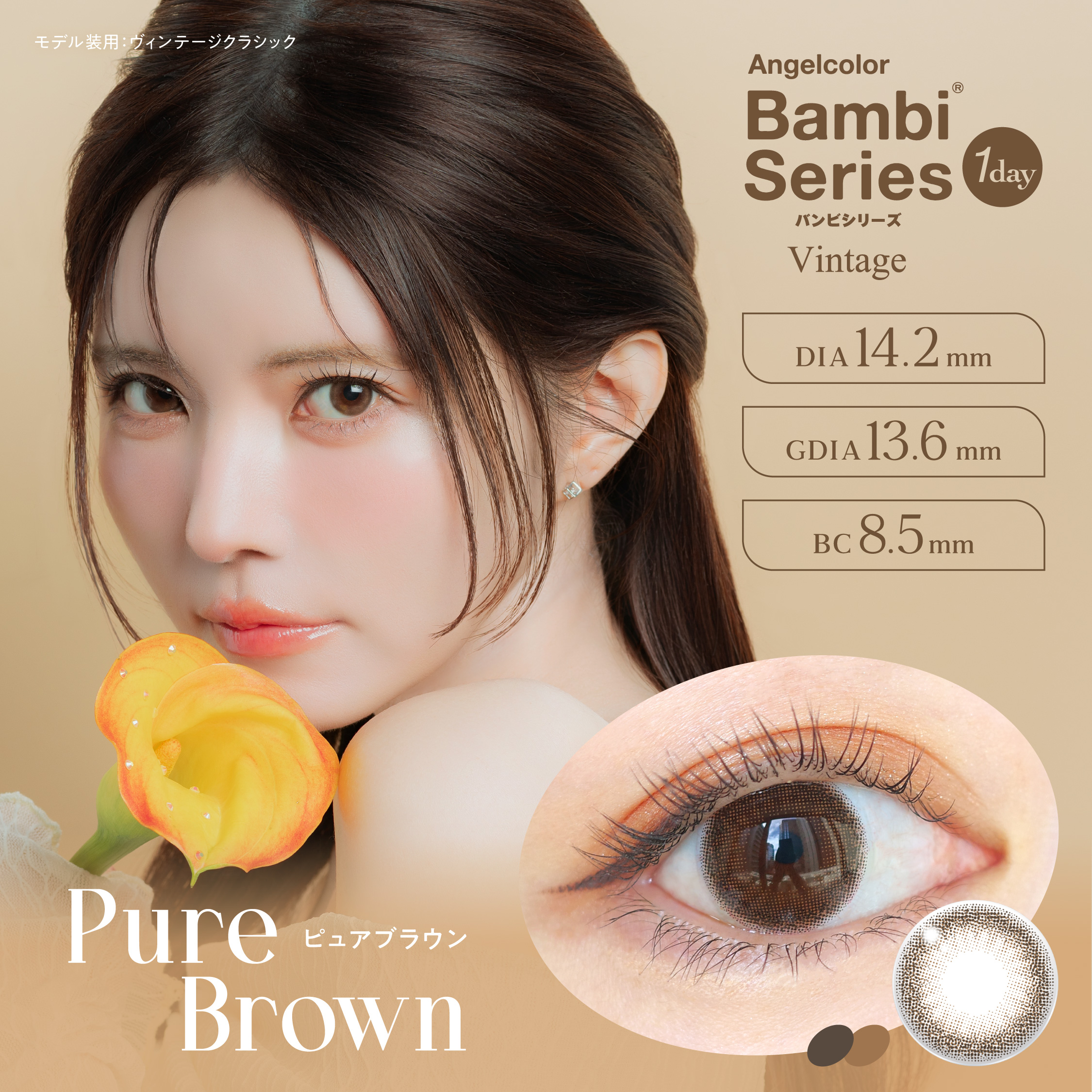Pure BROWN（ピュアブラウン）