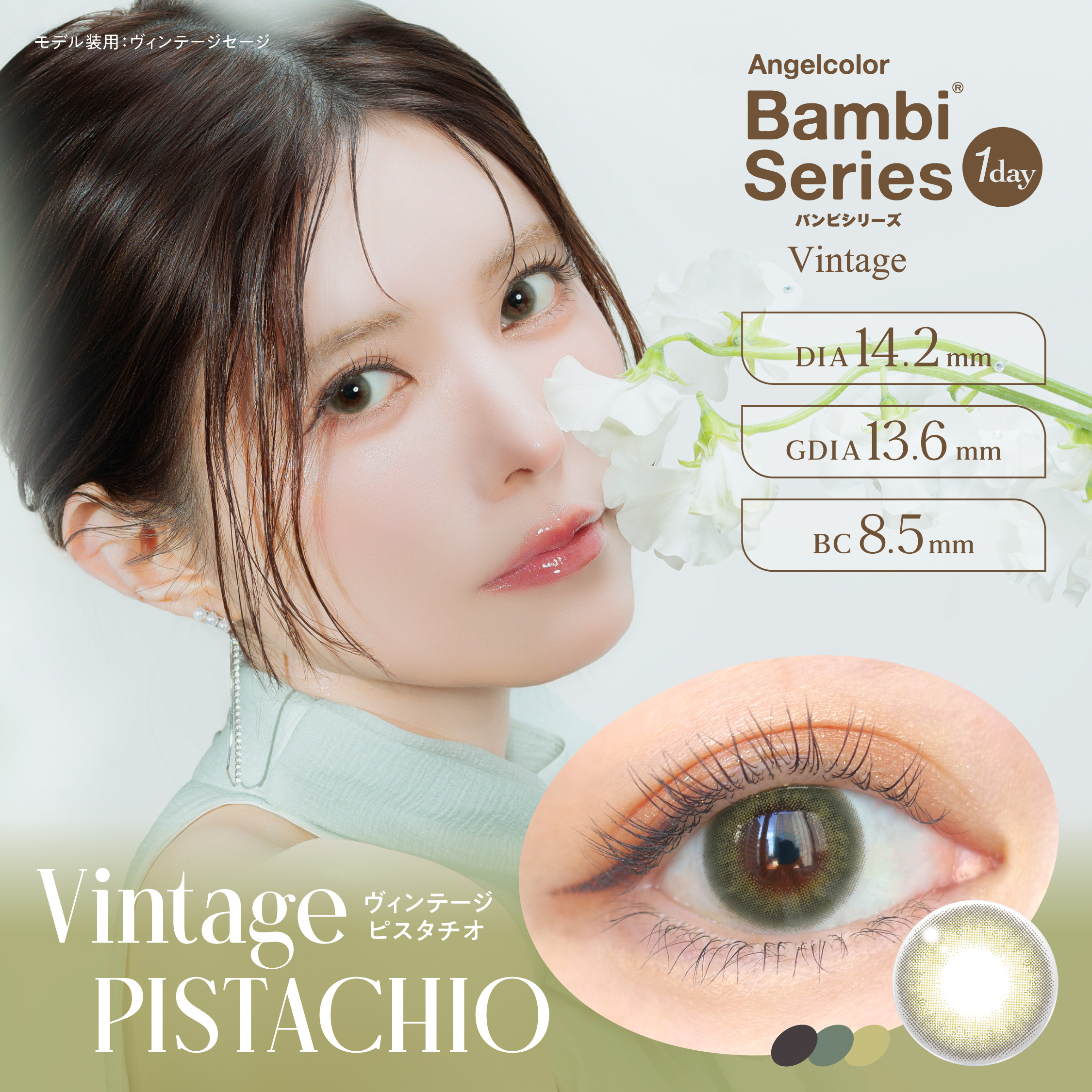 Vintage PISTACHIO（ヴィンテージ ピスタチオ）