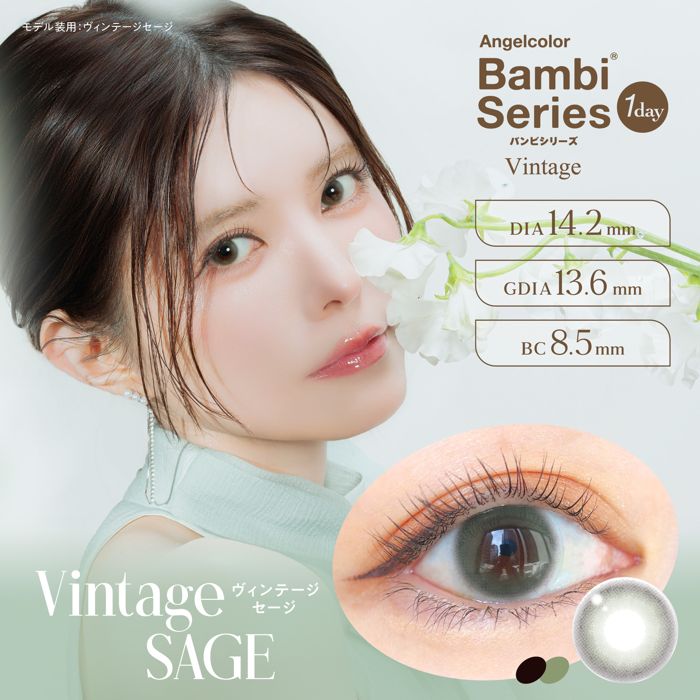 Vintage SAGE（ヴィンテージ セージ）